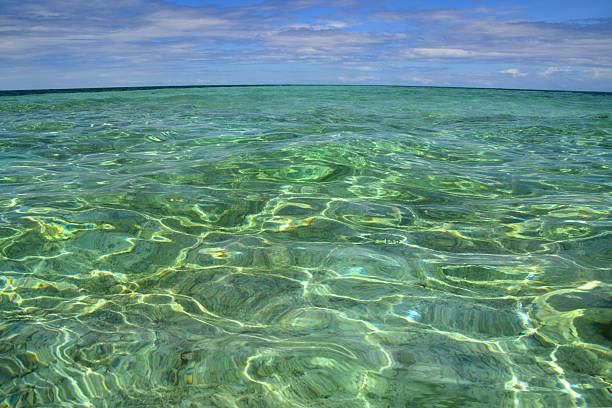 istock Transparent sea at Mantigue Island, Philippines 498052123