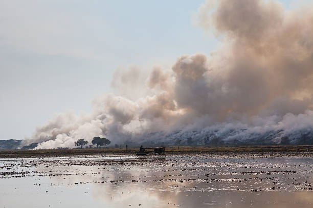 istock Burning garbage heap of smoke 498053125