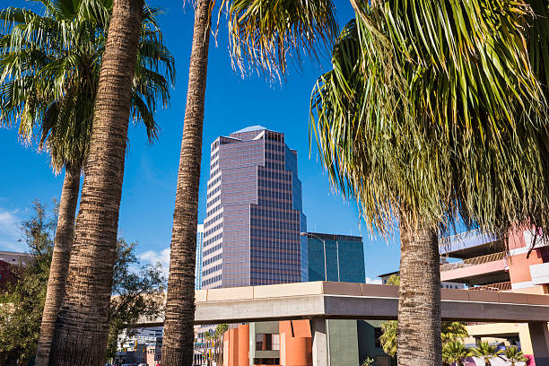 istock Tucson Arizona downtown skyline panorama cityscape with palm trees 498053481