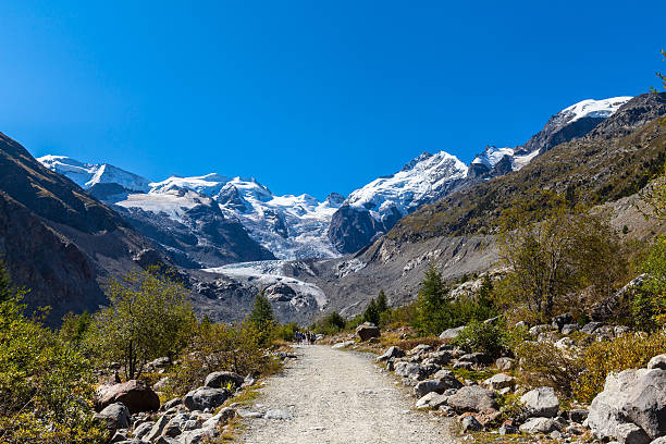 istock On the hiking path towards Morteratsch glacier 498053624