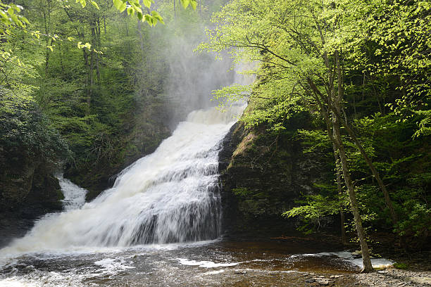 istock Dingmans Falls at Delaware Water Gap National Recreation Area 498053929