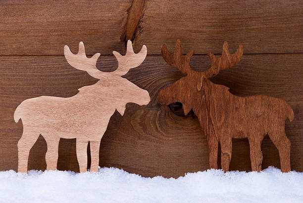 istock Christmas Decoration, Moose Couple In Love, Snow 498055794