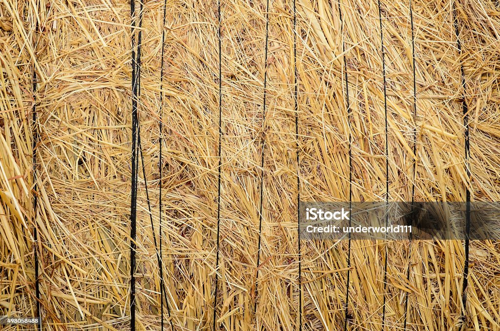 Hay From Reeds Texture Hay Texture Stock Photo - Download Image Now - 2015, Agricultural Field ...