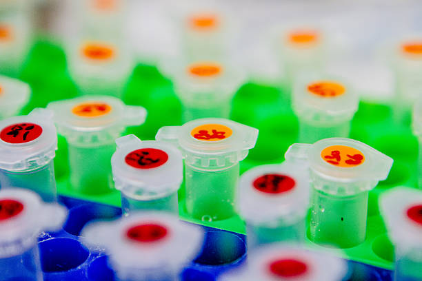 istock Cellular Research - Centrifuge Tubes 498059800