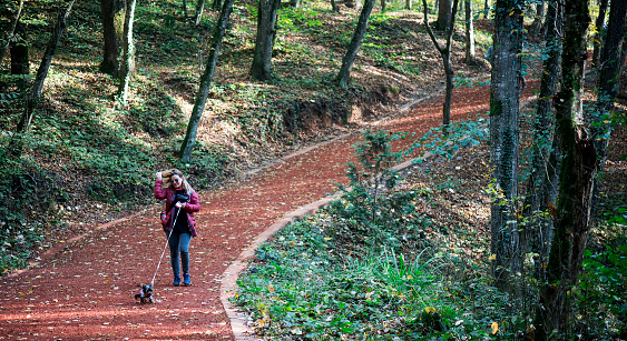 Adult Woman and Dog is Walking in Forest