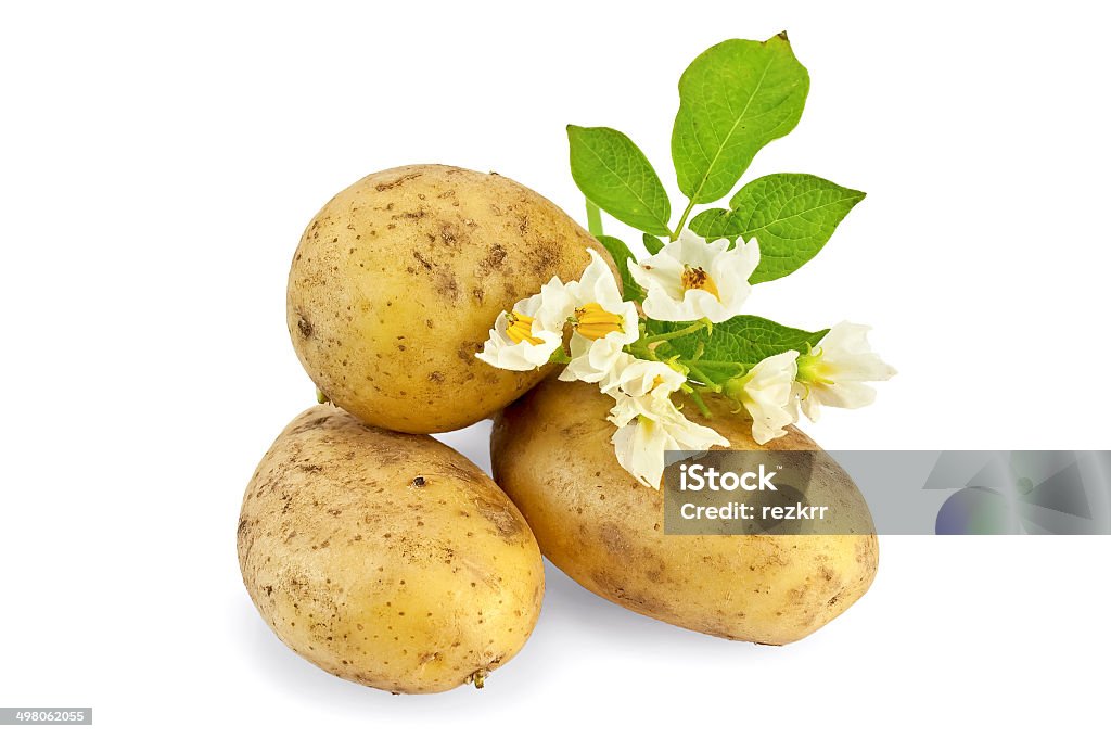 Kartoffel-Gelb mit Blume - Lizenzfrei Abnehmen Stock-Foto
