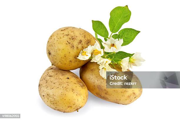 Patate Con Un Fiore Giallo - Fotografie stock e altre immagini di Agricoltura - Agricoltura, Alimentazione sana, Ambientazione interna