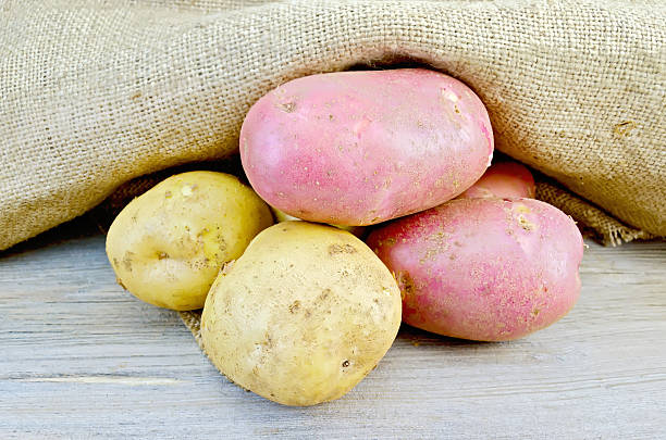 istock Potatoes yellow and red with burlap on board 498063215