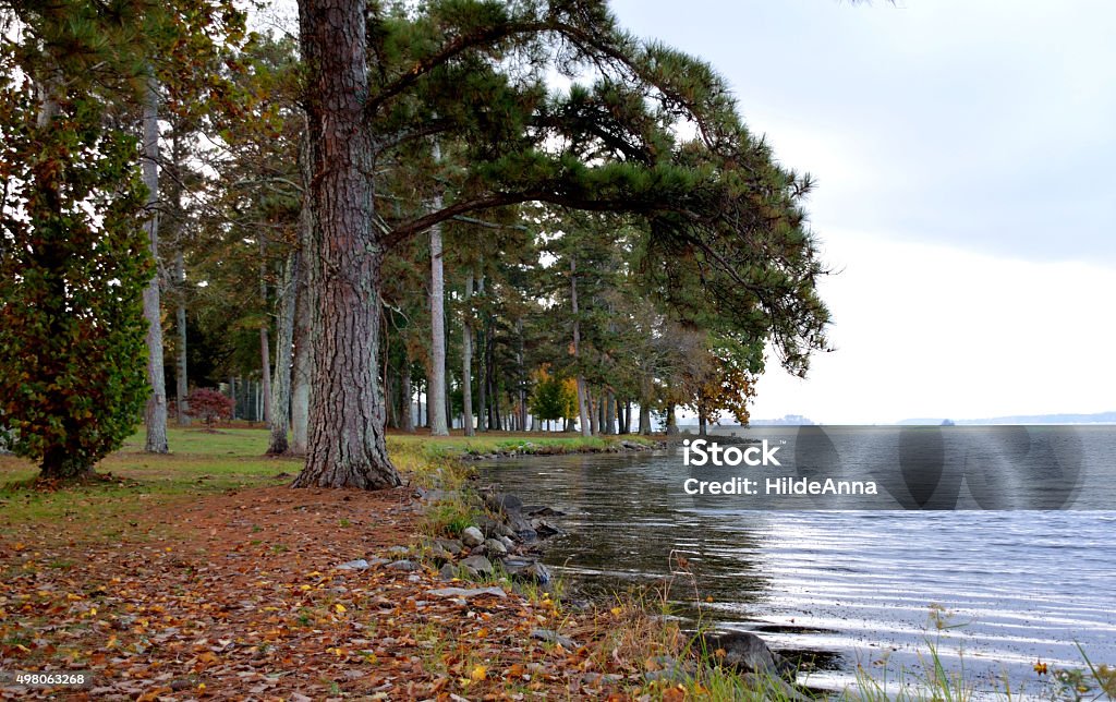 Lake Guntersville, AL, USA Lakeshore at a park located at Lake Guntersville, Alabama, USA, Tennessee River. Lake Stock Photo
