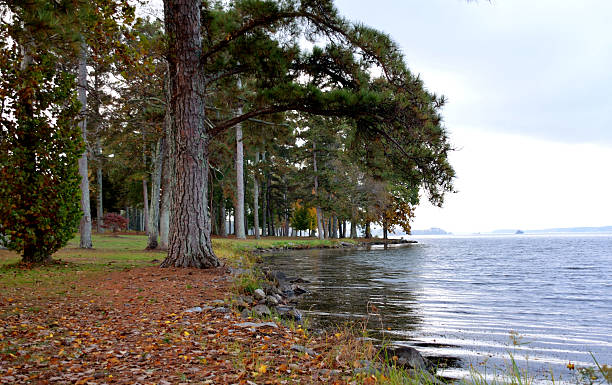 Lake Guntersville, AL, USA stock photo
