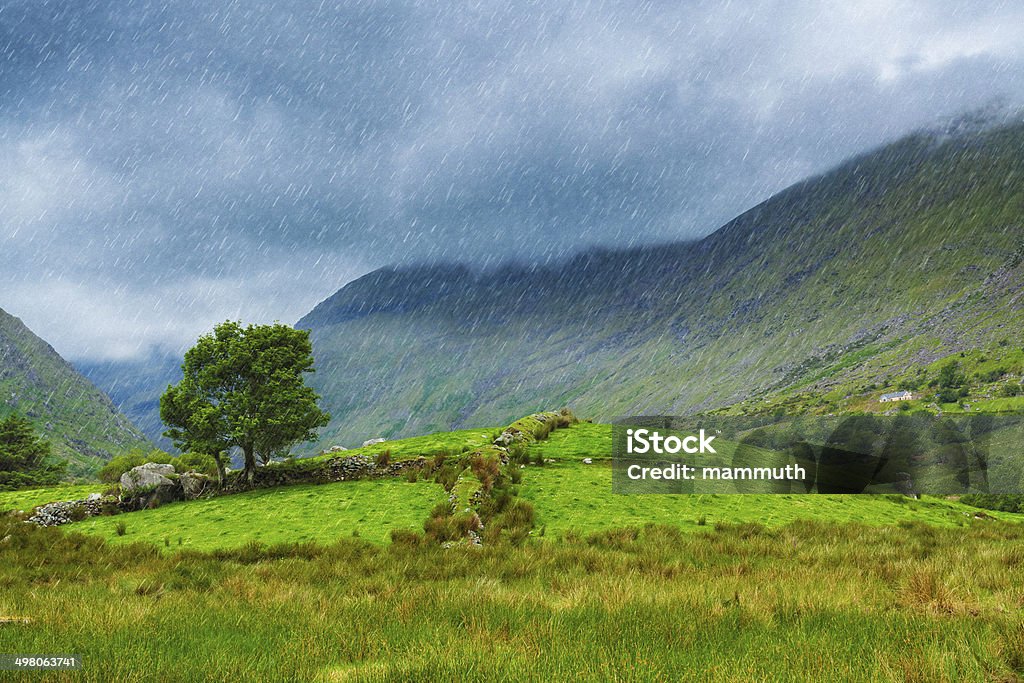 rainy landscape rainy day in Ireland Landscape - Scenery Stock Photo