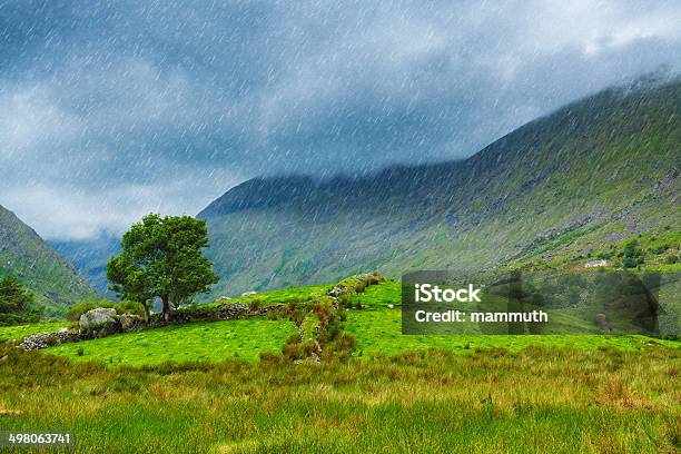 Rainy Landscape Stock Photo - Download Image Now - Landscape - Scenery, Rain, Scenics - Nature