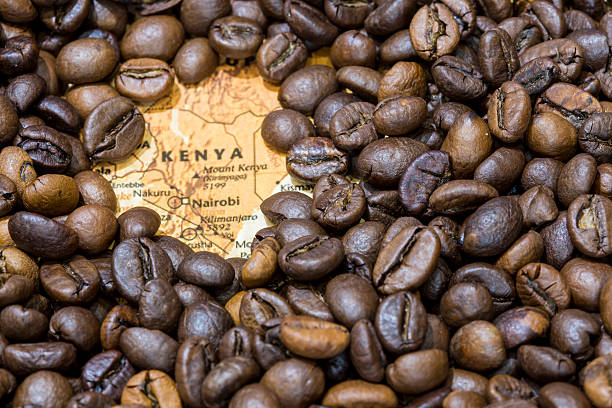 istock Map of Kenya under a background of coffee beans 498064184