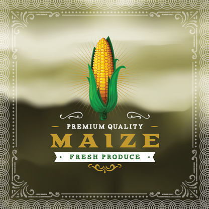 A vintage styled label featuring maize. EPS 10 file, layered & grouped, with meshes and transparencies (shadows & overall effects only).