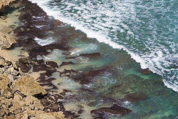 istock Coast line of Bali island 498066353
