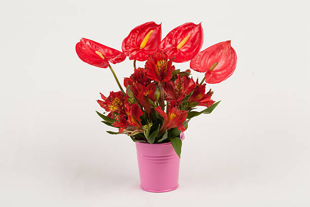istock anthurium and alstroemerias flower 498066363