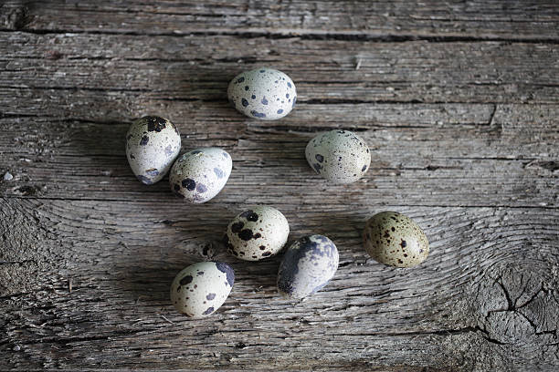 istock Quail eggs, whole on the wooden, rustic desk 498067475