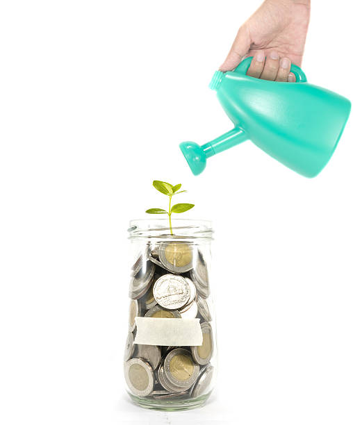 istock Growth of your money concept 498069179
