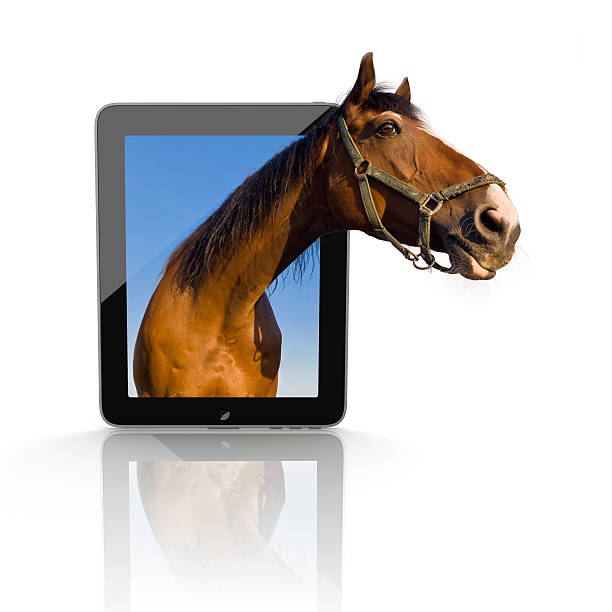 3d tablet pc - horse net bildbanksfoton och bilder