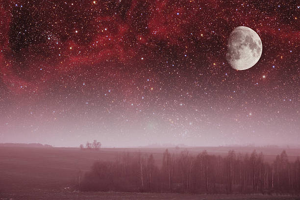 istock mystical spring night. Elements of this image furnished by NASA 498076373