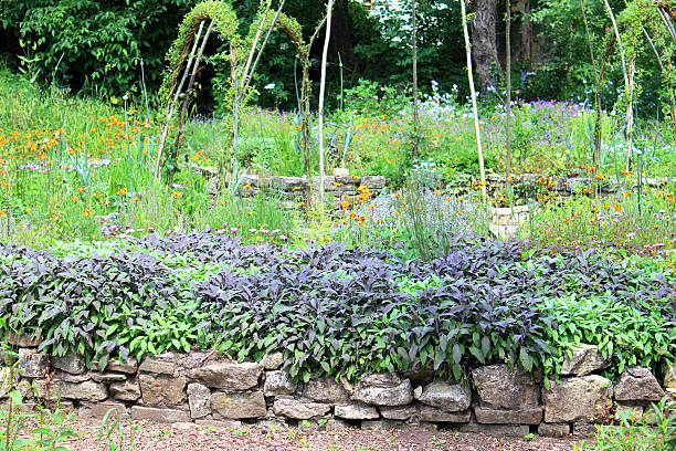 istock Ornamental vegetable garden with herbs and living willow arches 498077483