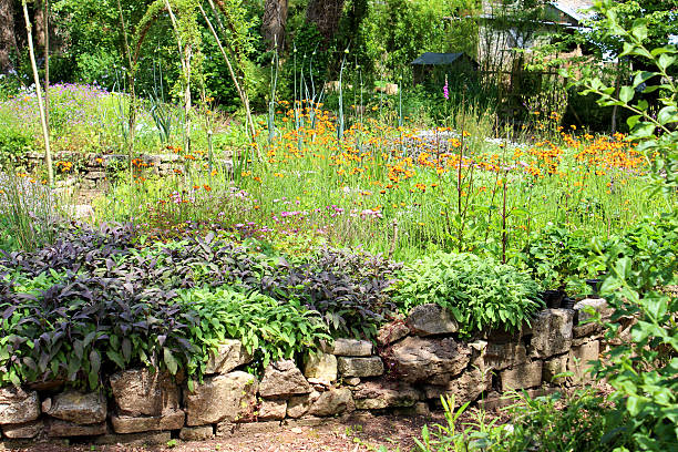 istock Ornamental vegetable garden with herbs and living willow arches 498077485