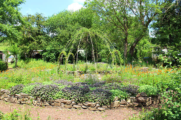 istock Ornamental vegetable garden with herbs and living willow arches 498077487