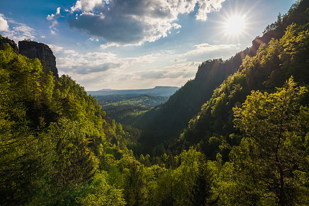 istock mountain exaltation of the forest 498079017