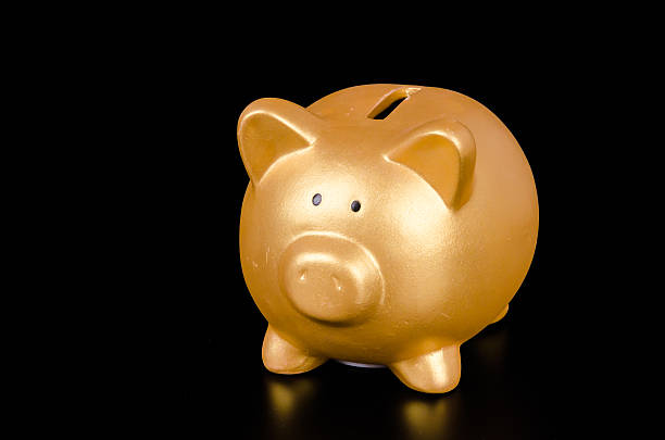istock Piggy bank 498079733