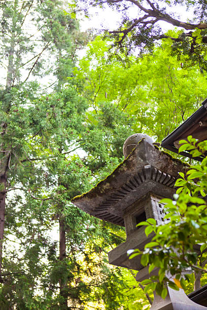 Traditional Japanese Garden.