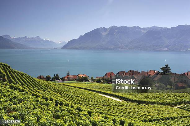 View Over Lake Geneva From The Lavaux Vines Stock Photo - Download Image Now - Lausanne, Lake Geneva, Montreux