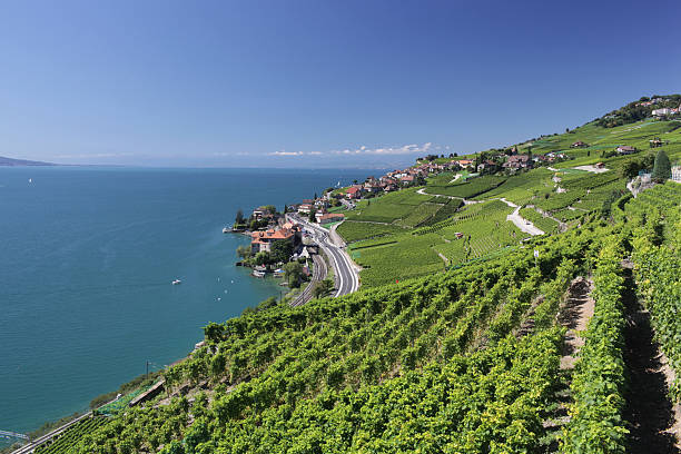 istock View over lake Geneva from the Lavaux vines. 498087381