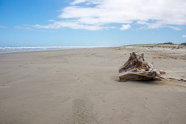 Hokio Beach Scenes Hokio Beach near Levin in the Manawatu features long almost deserted scenes even on a summer weekend manawatu stock pictures, royalty-free photos & images