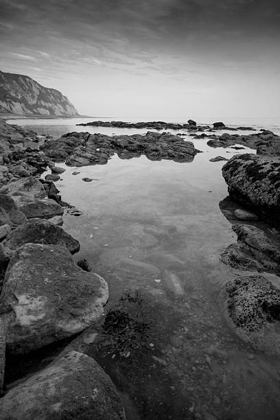 Steeply-tilted Layers of Flysch, Flysch Cliffs, Basque Coast UNESCO Global Geopark, European Geopark Network, Zumaia, Guipúzcoa, Basque Country, Spain, Europe