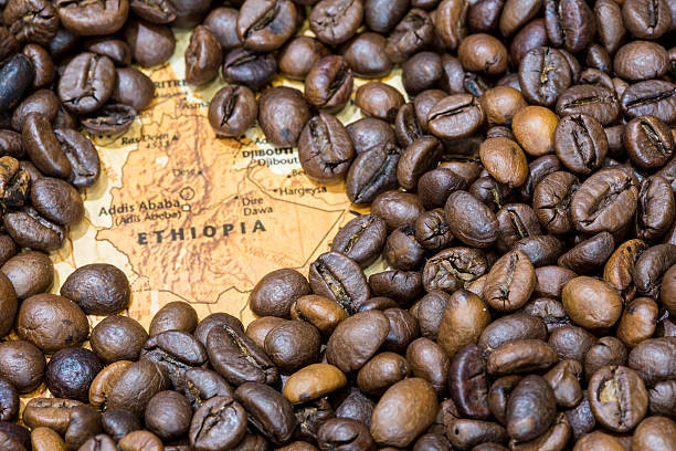 Map of Ethiopia under a background of coffee beans Vintage map of Ethiopia covered by a background of roasted coffee beans. This nation is between the five main producers and exporters of coffee. Horizontal image. ancient ethiopia stock pictures, royalty-free photos & images