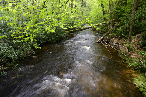Dingmans creek at Delaware Water Gap National Recreation Area, Pennsylvania, USA