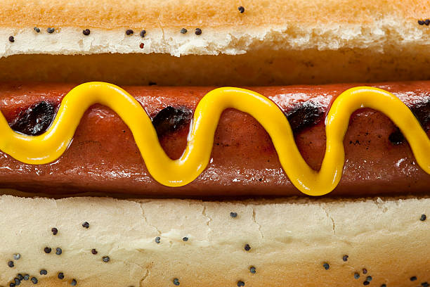 Gourmet Grilled All Beef Hots Dogs