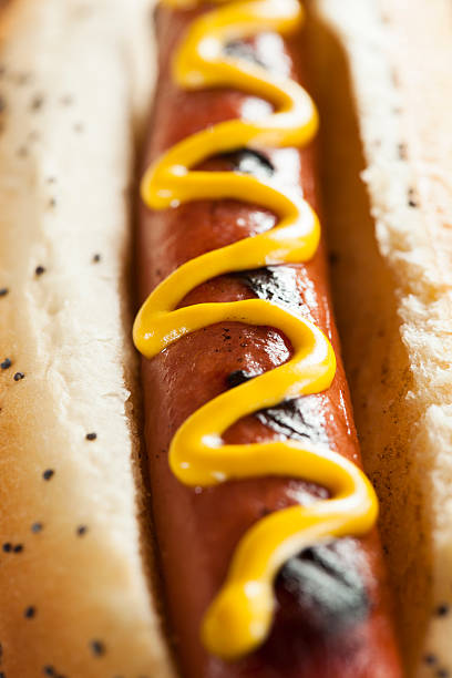 istock Gourmet Grilled All Beef Hots Dogs 498089047