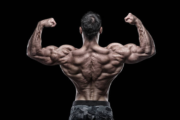 ビッグガンズ - back rear view men muscular build ストックフォトと画像
