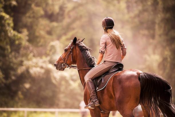 istock Woman horseback riding. 498089395