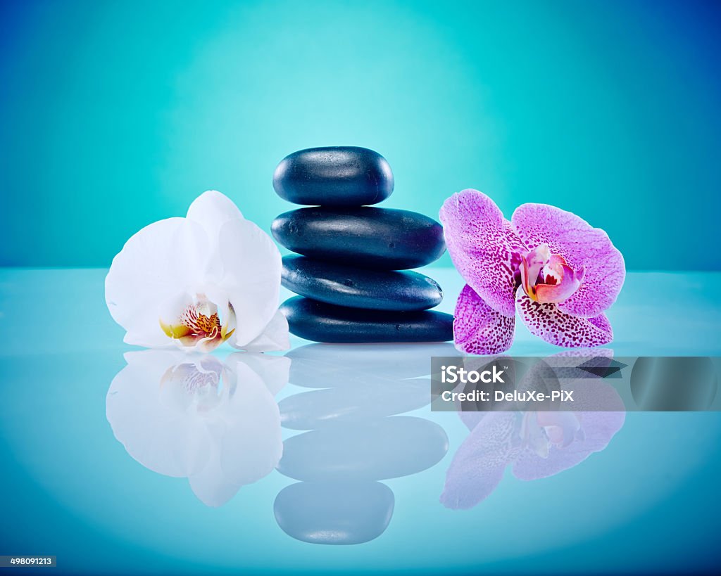 Pink and white orchis with hot stones Wellness and Spa Image, works perfect for advertising Health and Beauty, Spirituality or Massage. Blue Background Stock Photo