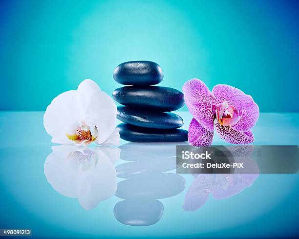 Pink And White Orchis With Hot Stones Stock Photo - Download Image Now - Blue Background, Central Asia, Chinese Culture