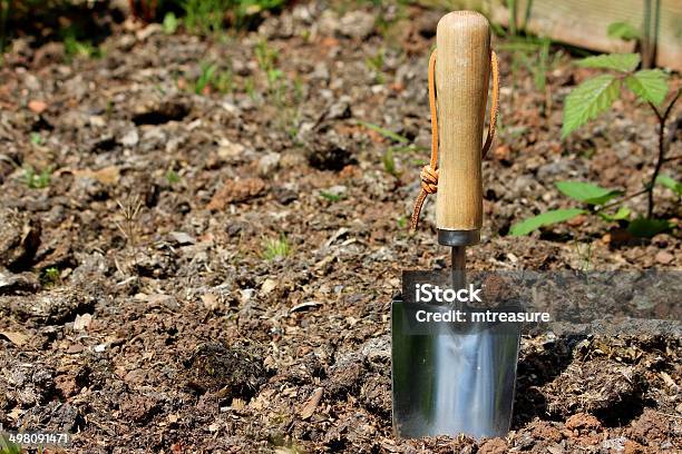 Edelstahl Hand Kellehandwerk Und Garten Im Gemüsegarten Holzgriff Bild Stockfoto und mehr Bilder von Brombeere - Brombeere und Himbeere