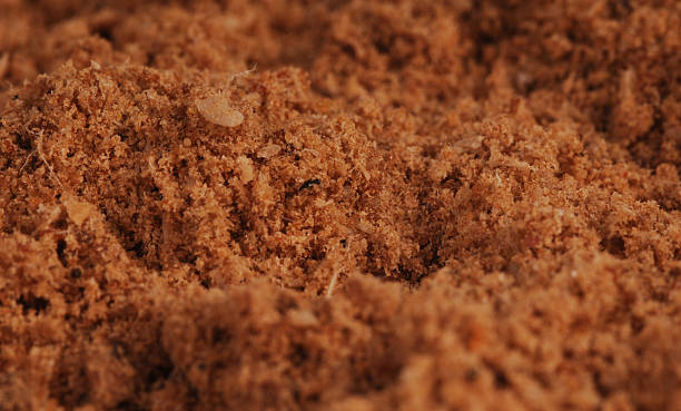 istock chicken meal ingredient for pet food 498091679