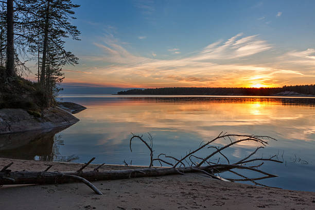 istock Lake shore with fallen trunk and sunset reflecting in water 498091753