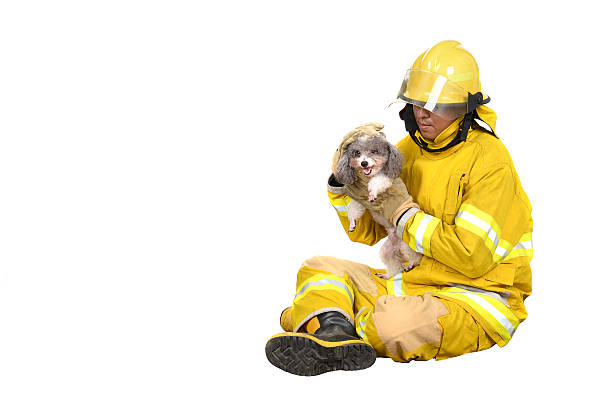 istock Firefighters helping people and animals. on white background. 498093470