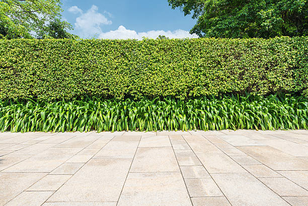 istock Green leaves wall with stone brick pavement texture background 498093608