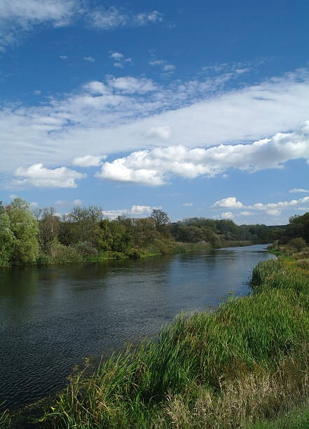 istock River landscape and  autumn wood 498096402