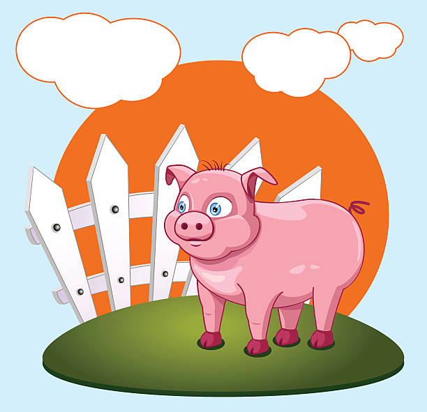 Pig pig in the village rail fence stock illustrations