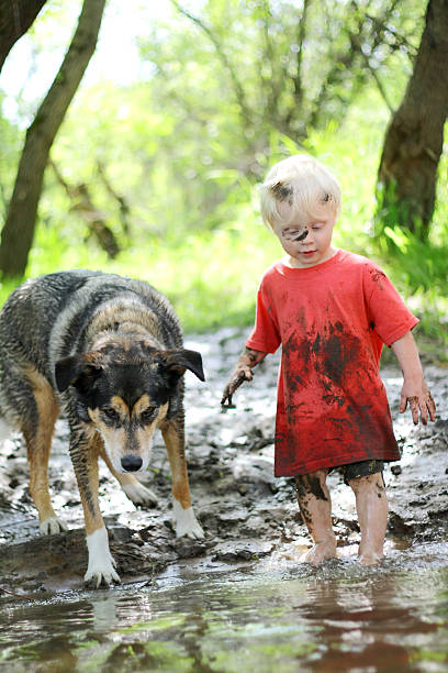 Young Child and Dog Playing in Muddy River A young boy child and his German Shepherd mix dog are covered in mud and playing outside on the beach of a river in the woods. people covered in mud stock pictures, royalty-free photos & images